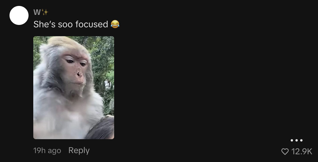 SAYS.com